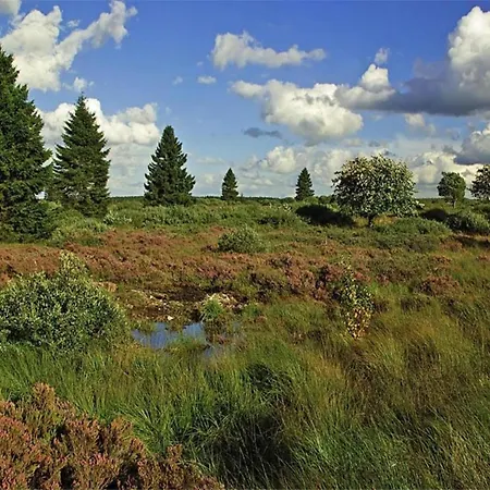 In Nadrin With Private Terrace Houffalize